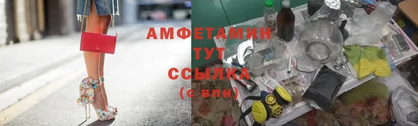 эйфоретик Няндома