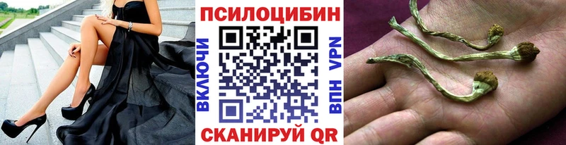 купить  сайты  Дятьково  Галлюциногенные грибы GOLDEN TEACHER 